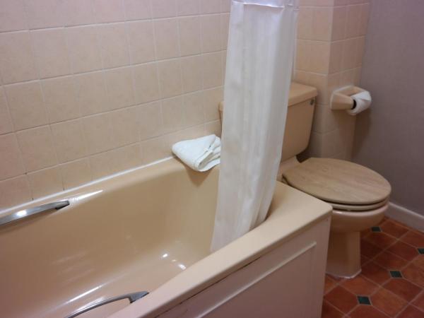 Hotel Celebrity Bournemouth East Cliff by Villare hotels : photo 4 de la chambre chambre lits jumeaux standard