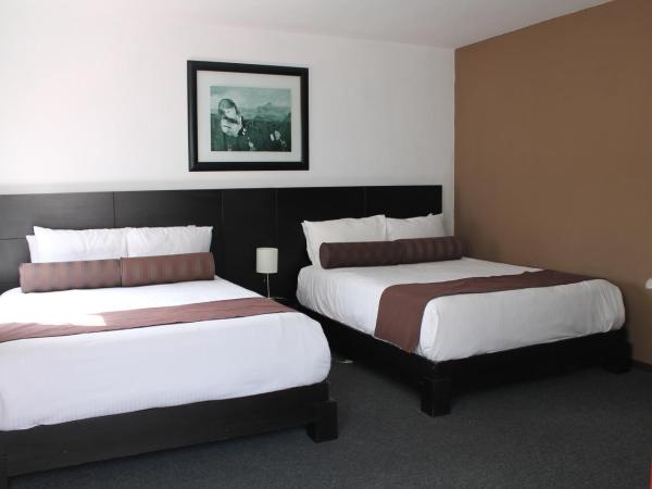 Kuku Ruku Hotel : photo 1 de la chambre suite junior (4 adultes)