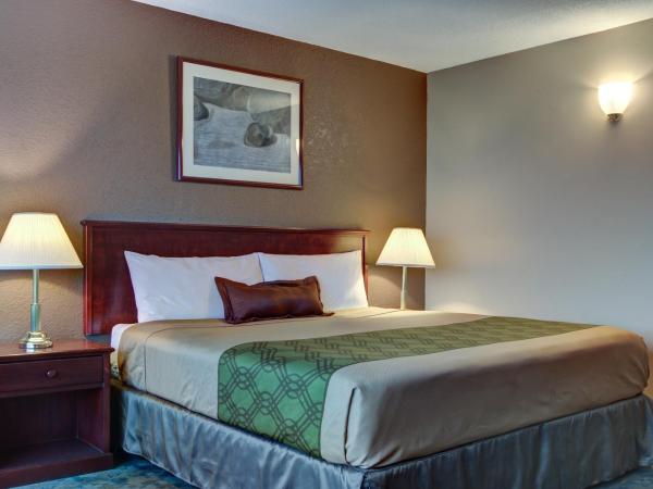 Knights Inn Kamloops : photo 4 de la chambre chambre lit king-size - non-fumeurs