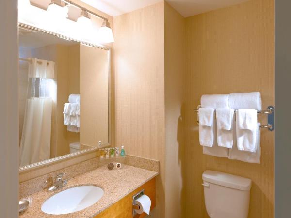 Deerfoot Inn and Casino : photo 2 de la chambre chambre lit king-size standard