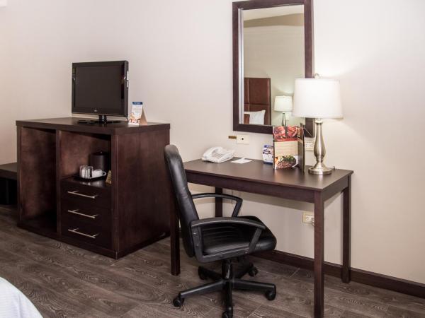 Best Western PLUS Monterrey Airport : photo 8 de la chambre chambre lit king-size - non-fumeurs