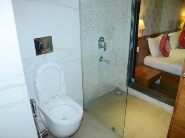 Hotel Shalimar Palace : photo 6 de la chambre chambre double deluxe