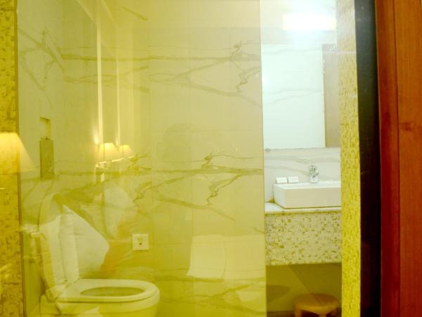 Hotel Shalimar Palace : photo 5 de la chambre chambre double deluxe