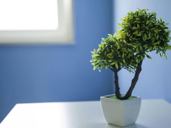 i girasoli srls : photo 6 de la chambre chambre familiale avec salle de bains privative