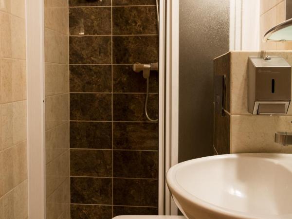 Hotel Astra Tajemniczy Ogród : photo 7 de la chambre chambre simple standard