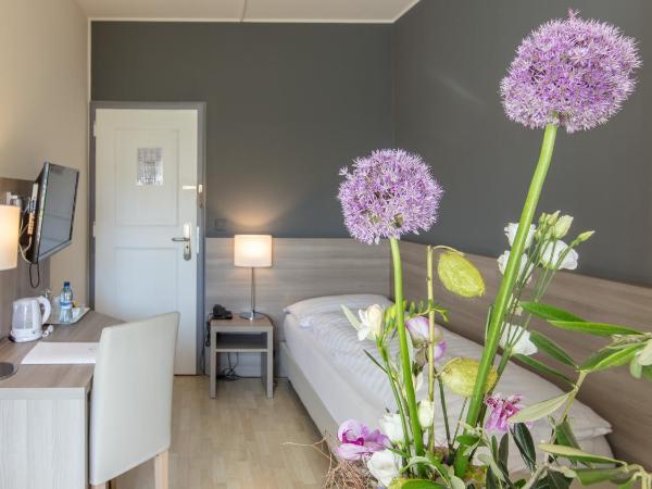 Hôtel de la Rose : photo 1 de la chambre chambre simple