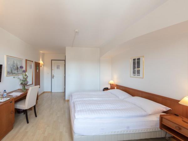 Hôtel de la Rose : photo 3 de la chambre chambre double supérieure