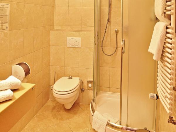 Hotel Central : photo 6 de la chambre chambre double ou lits jumeaux