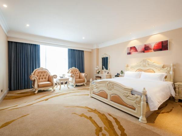 Nan Yang Royal Hotel : photo 2 de la chambre chambre lit king-size affaires
