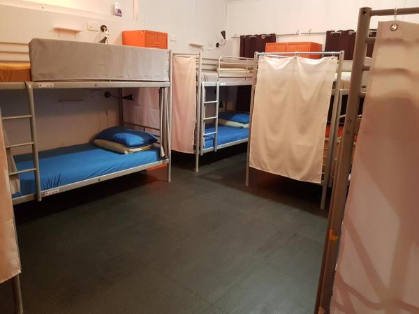 Royal Lodge @ Pagoda Street : photo 1 de la chambre lit simple dans dortoir mixte de 12 lits