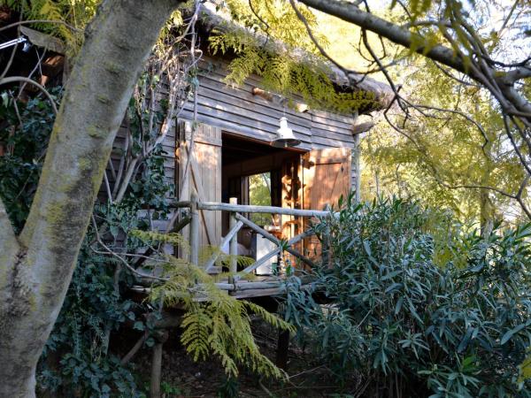 Ha Mar ao Luar : photo 6 de la chambre bungalow - vue sur mer