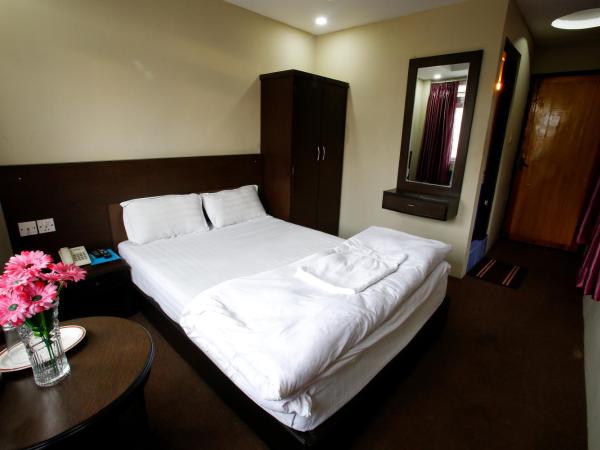 Hotel Nandini : photo 1 de la chambre chambre double deluxe