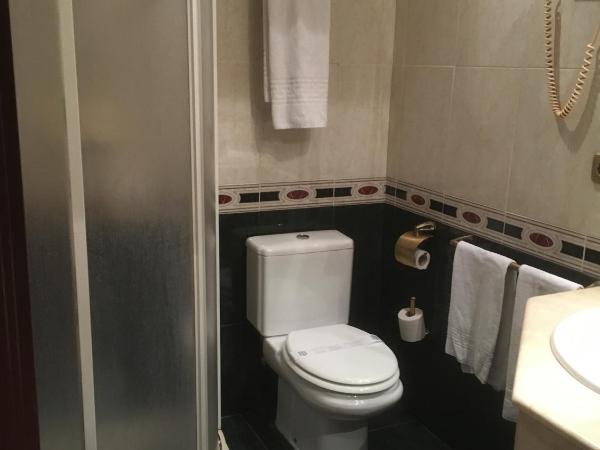 Hotel El Cisne : photo 1 de la chambre chambre simple standard