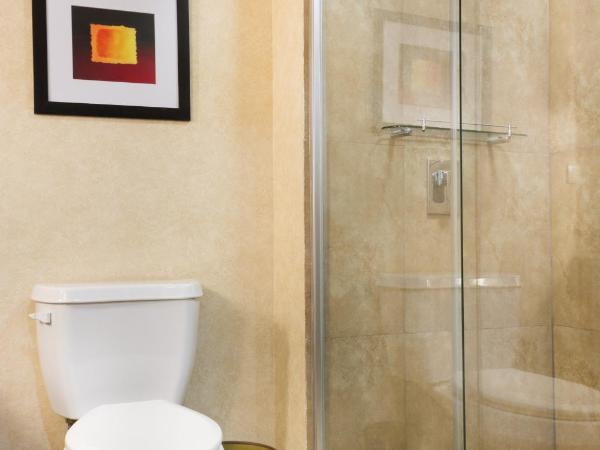 Best Western PREMIER Monterrey Aeropuerto : photo 6 de la chambre chambre lit queen-size - non-fumeurs