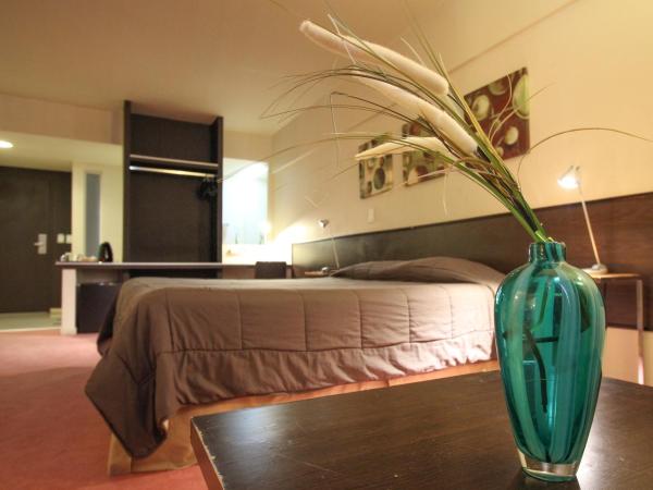 Uno Buenos Aires Suites : photo 5 de la chambre chambre double ou lits jumeaux supérieure