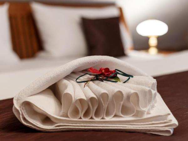 Pension U Hastrmana : photo 3 de la chambre chambre double deluxe avec douche