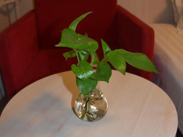 Jinjiang Inn Beijing Fengtai East Avenue Railway Station : photo 1 de la chambre chambre lits jumeaux standard a