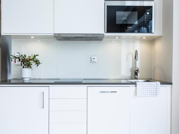 Biz Apartment Hammarby Sjöstad : photo 8 de la chambre appartement avec terrasse