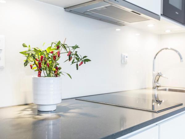 Biz Apartment Hammarby Sjöstad : photo 7 de la chambre studio medium