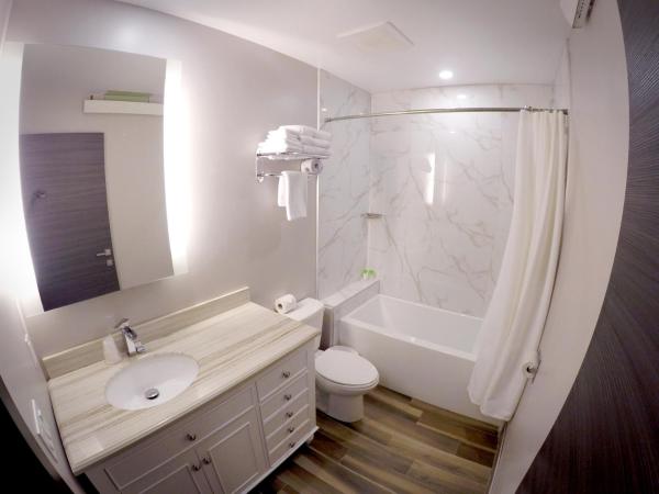 M Montreal Hostel : photo 5 de la chambre lit dans dortoir mixte de 6 lits