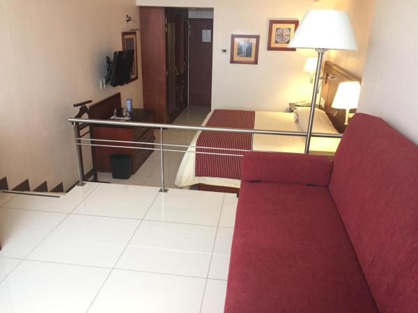 Hotel Fortin Plaza : photo 5 de la chambre suite junior exécutive