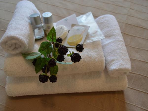 HOTEL ARÉNA : photo 9 de la chambre chambre simple avec salle de bains 