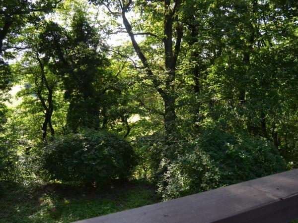 Charleroi Marcinelle verdure et parking gratuit : photo 9 de la chambre appartement (2 adultes)