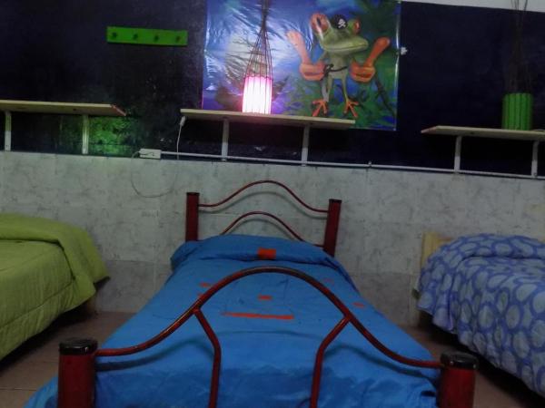 Hospedaje La Rana : photo 3 de la chambre lit simple dans dortoir mixte