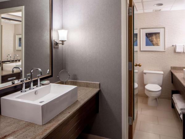 Hyatt Regency Saint Louis at The Arch : photo 3 de la chambre chambre lit king-size deluxe avec vue