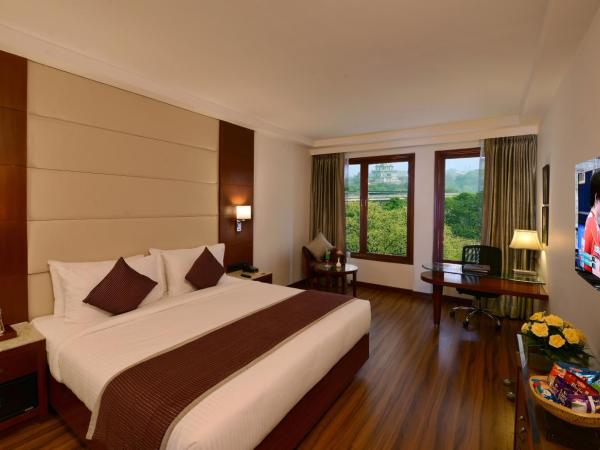 Lords Plaza Jaipur : photo 1 de la chambre chambre club