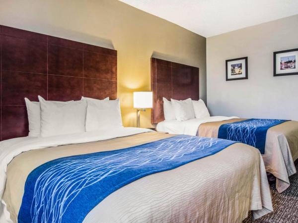 Comfort Inn Atlanta Downtown South : photo 3 de la chambre chambre 2 lits queen-size - non-fumeurs