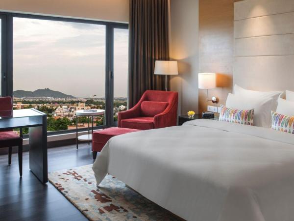 Feathers- A Radha Hotel, Chennai : photo 1 de la chambre suite