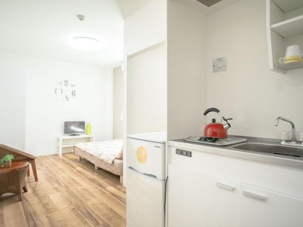 Osaka Tsuruhashitei Hotel Asahi group 大阪鶴橋亭ホテル : photo 8 de la chambre chambre double avec salle de bains privative