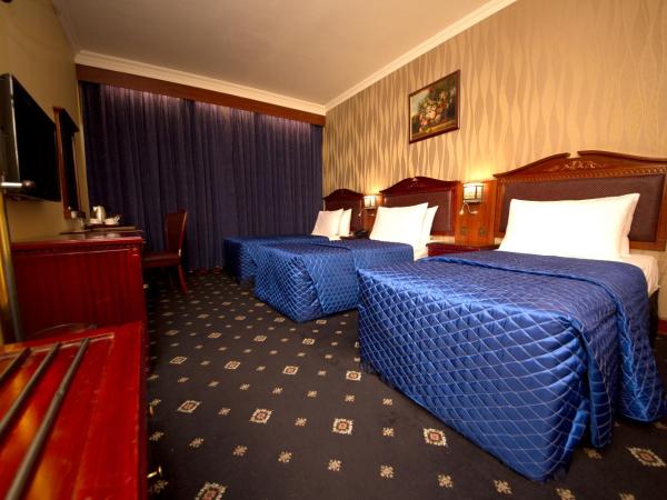 Mount Royal Hotel : photo 8 de la chambre chambre familiale premier