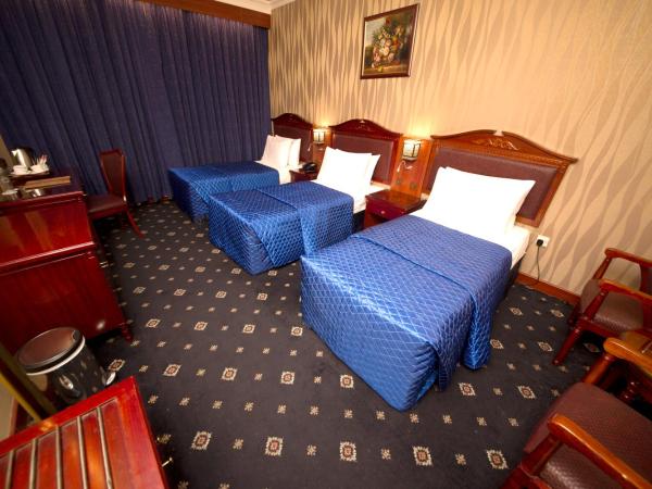 Mount Royal Hotel : photo 6 de la chambre chambre triple deluxe