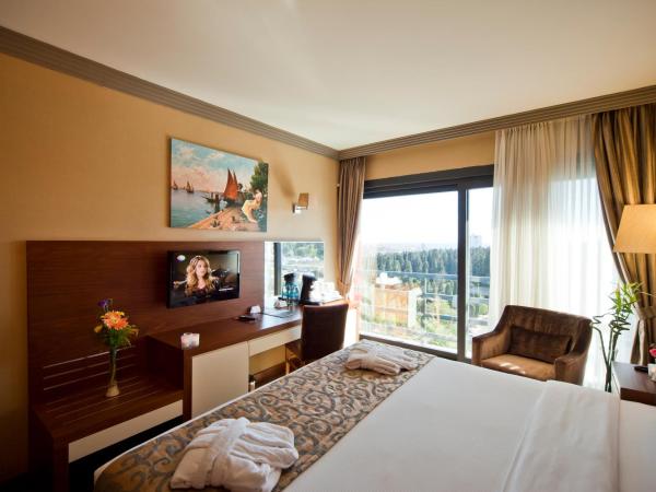 Volley Hotel Istanbul : photo 2 de la chambre chambre standard