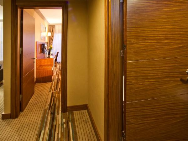 Volley Hotel Istanbul : photo 3 de la chambre suite
