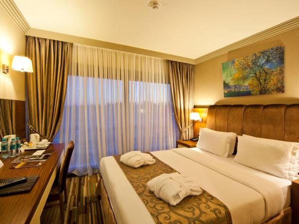 Volley Hotel Istanbul : photo 1 de la chambre chambre standard