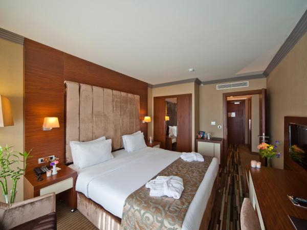 Volley Hotel Istanbul : photo 6 de la chambre suite