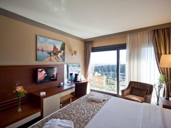 Volley Hotel Istanbul : photo 2 de la chambre suite