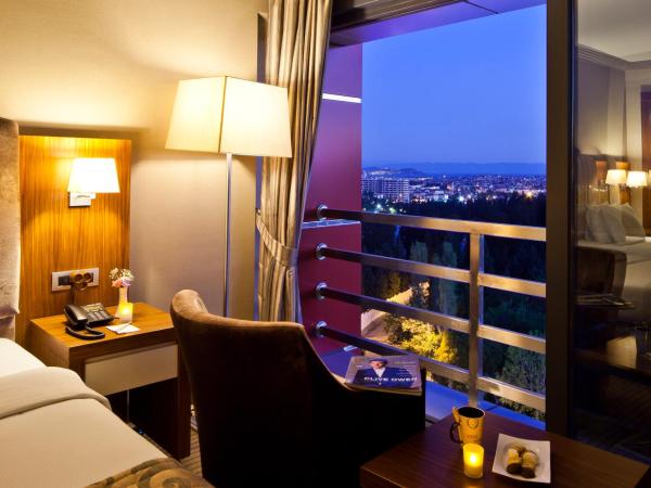 Volley Hotel Istanbul : photo 3 de la chambre chambre supérieure