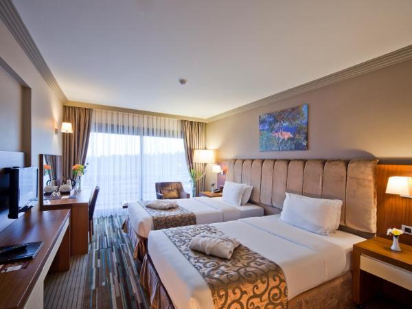 Volley Hotel Istanbul : photo 2 de la chambre chambre supérieure