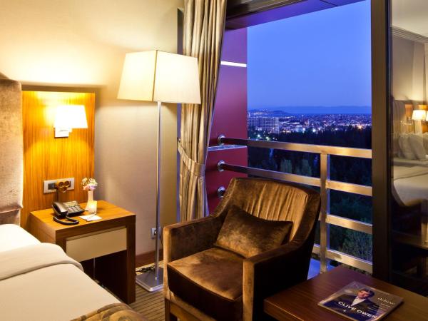 Volley Hotel Istanbul : photo 6 de la chambre chambre supérieure