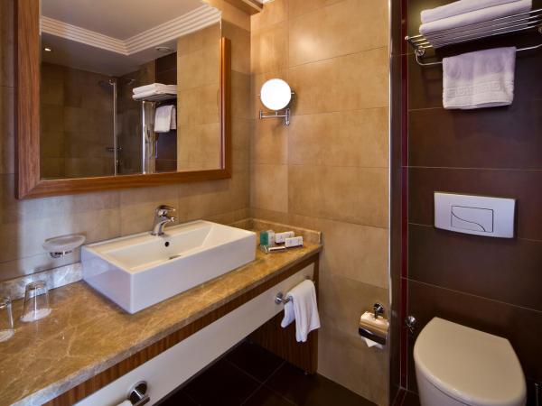 Volley Hotel Istanbul : photo 4 de la chambre chambre supérieure