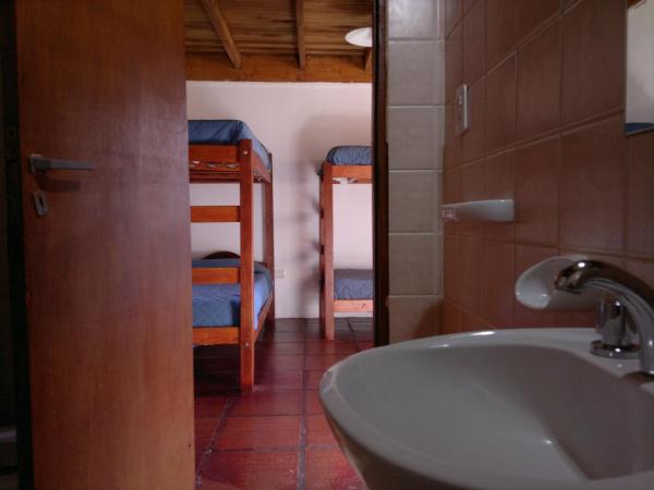 Calafate Hostel : photo 1 de la chambre lit simple dans dortoir 4 lits avec salle de bains privative