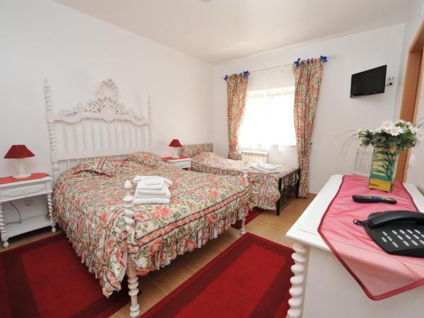 Hotel Aviz : photo 6 de la chambre chambre double avec lit d'appoint