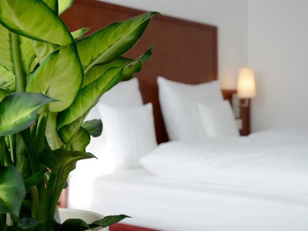 Weichandhof : photo 3 de la chambre chambre simple