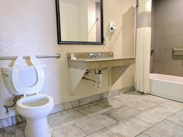 Days Inn by Wyndham San Antonio Interstate Hwy 35 North : photo 7 de la chambre chambre lit king-size pour personnes à mobilité réduite - non-fumeurs