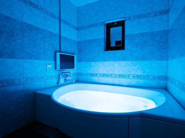 HOTEL PERRIER (Adult Only) : photo 2 de la chambre chambre double avec coin tatami