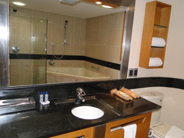 Plaza Praia Suítes : photo 4 de la chambre suite supérieure